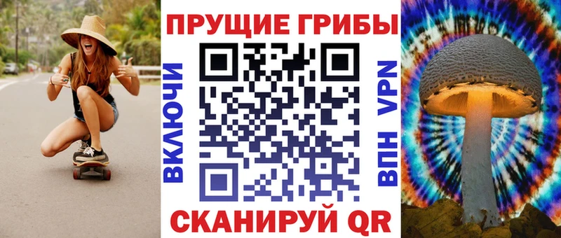 Псилоцибиновые грибы MAGIC MUSHROOMS  что такое   Славгород 