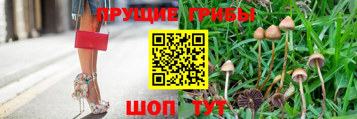 Псилоцибиновые грибы Psilocybine cubensis  Псилоцибиновые грибы Psilocybe  где продают   Славгород  Вход с VPN 