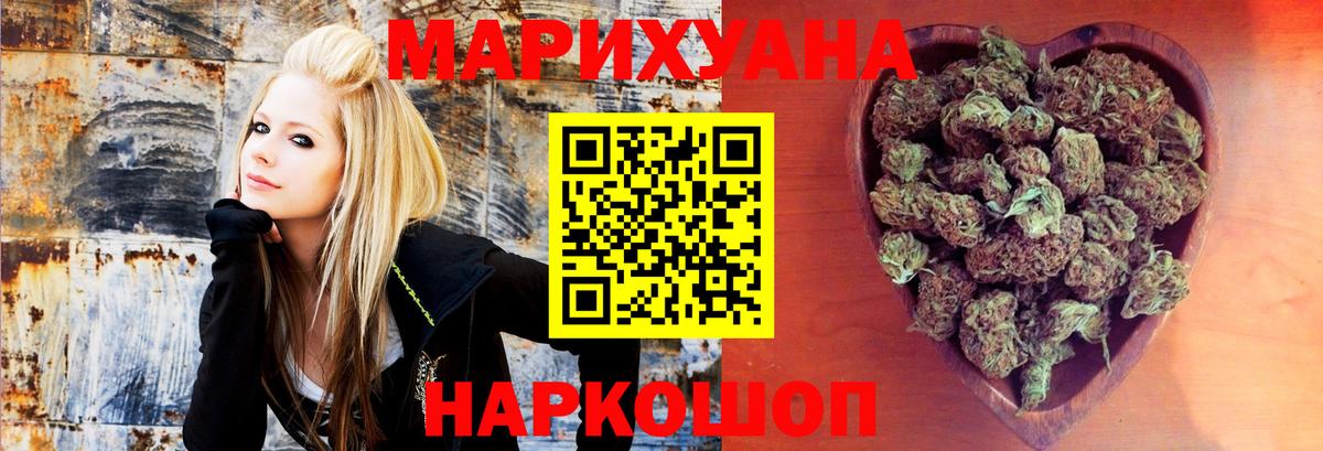 Каннабис конопля Славгород